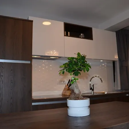 Apartment Mango