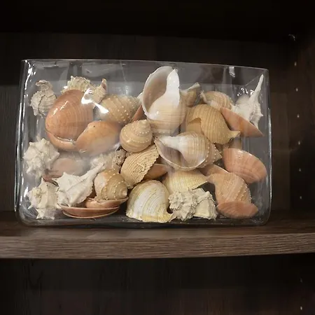 Mango アパート バスカ